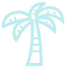 A tall coconut tree standing beside clear blue waters