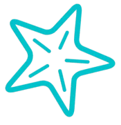 star - Clearly Unique Charters