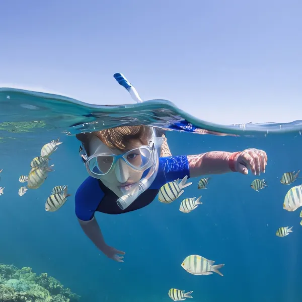 SNORKELING, SANDBAR, AND SUNSET TRIPS