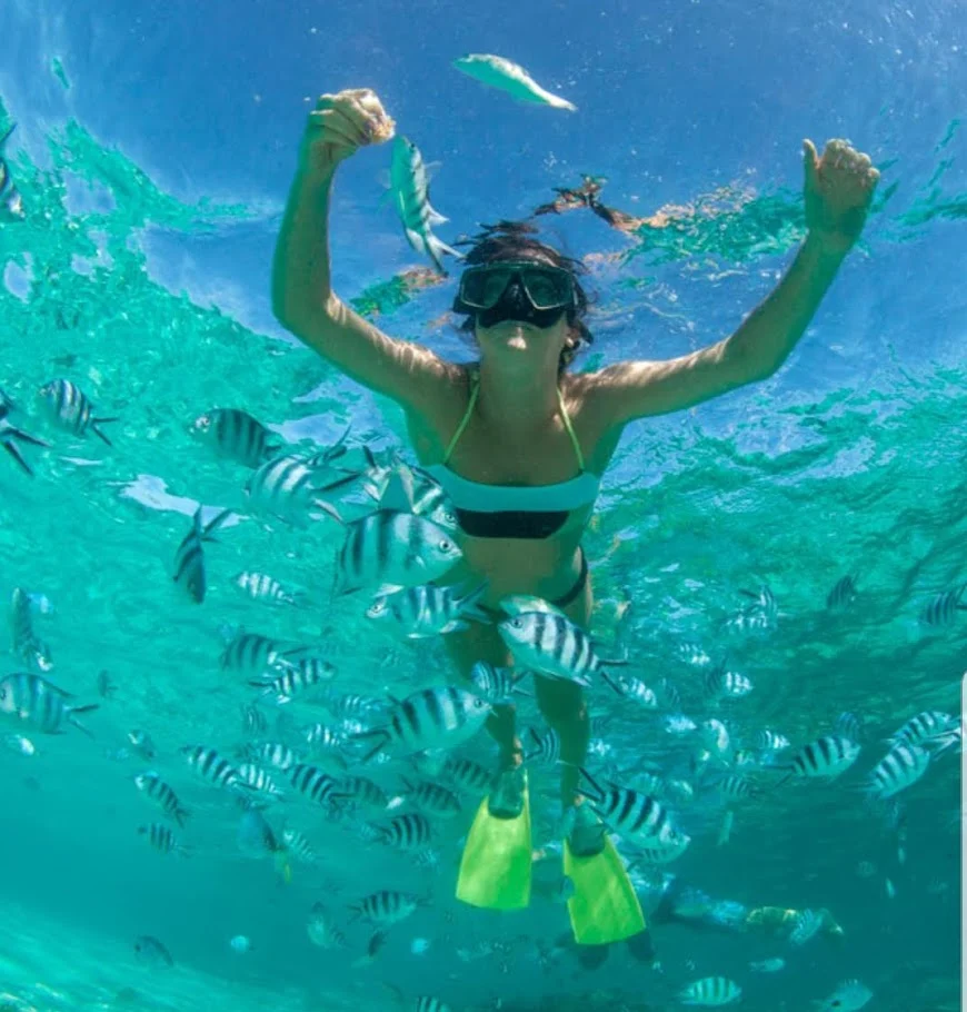 Snorkeling female with a school of fish in Islamorada Florida