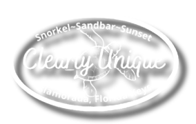 learly Unique Charters is the travelers choice for Snorkeling and Sandbar Tips in the Florida Keys!