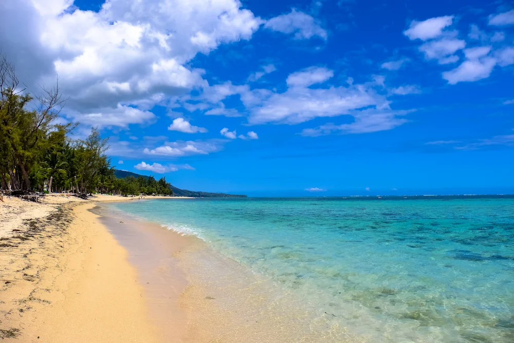 Pristine tropical beach with white sand and calm turquoise ocean
