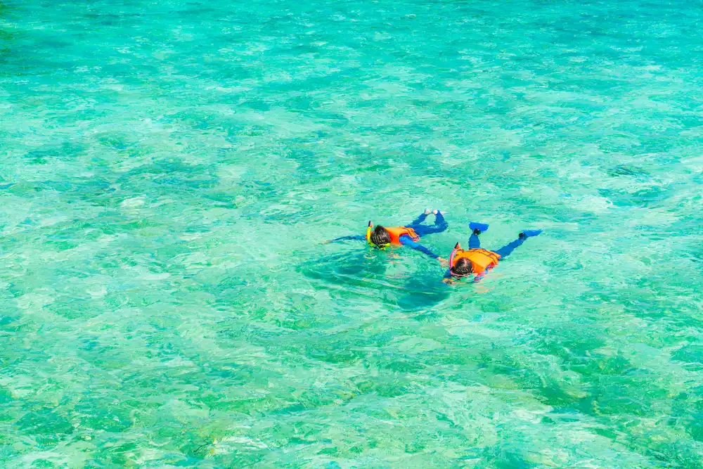 Snorkelers enjoying time in clear tropical water during a boat tour