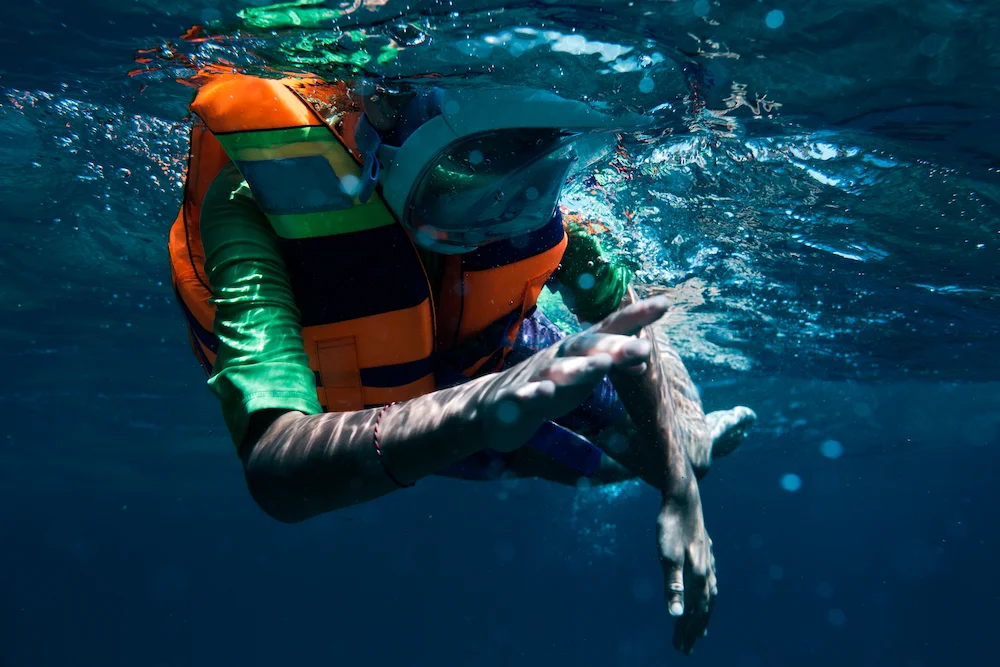 Snorkeler observing colorful fish and coral reef formations