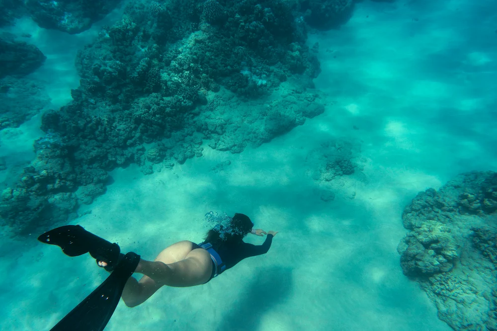 Snorkeler exploring a coral reef in clear ocean water