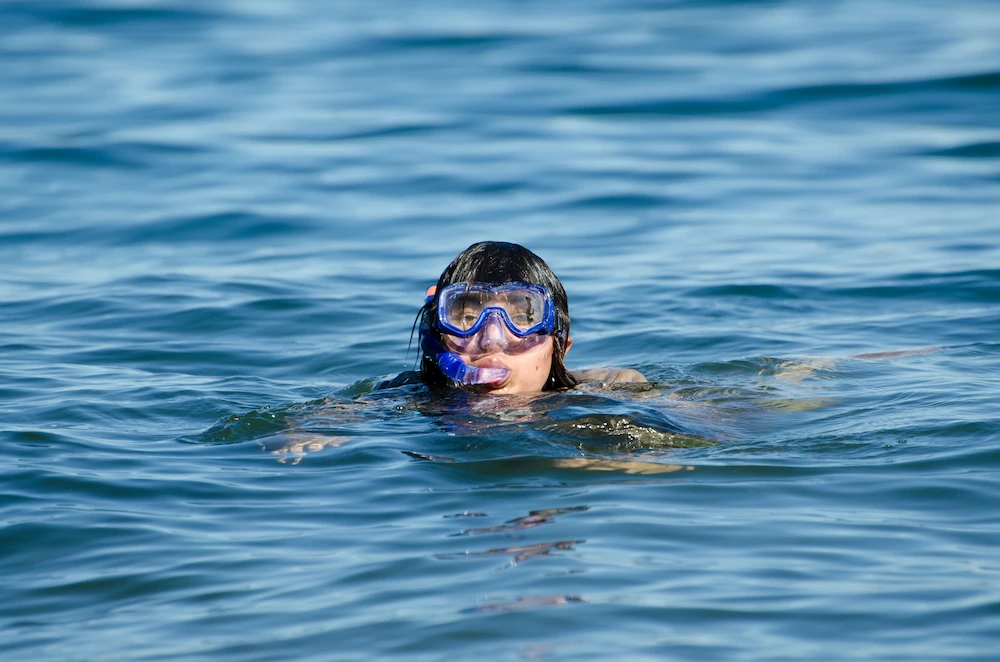 Person snorkeling on the surface of calm ocean water